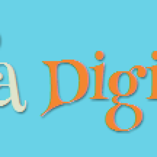 Join the raffle blog and run for a hostname / domain DynDNS